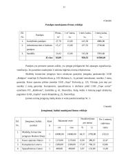 UAB „Plastas“ verslo planas 11 puslapis