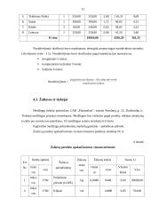 UAB „Plastas“ verslo planas 12 puslapis