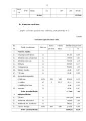 UAB „Plastas“ verslo planas 13 puslapis