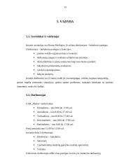 UAB „Plastas“ verslo planas 15 puslapis