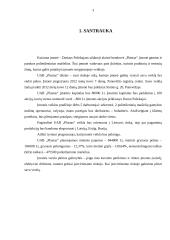 UAB „Plastas“ verslo planas 3 puslapis