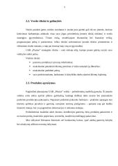 UAB „Plastas“ verslo planas 5 puslapis