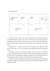 Kūno kultūros klubas „Obeliskas“ verslo planas 15 puslapis