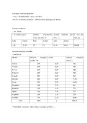 Kūno kultūros klubas „Obeliskas“ verslo planas 19 puslapis