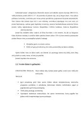 Kūno kultūros klubas „Obeliskas“ verslo planas 4 puslapis