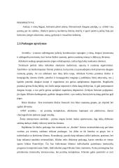 Kūno kultūros klubas „Obeliskas“ verslo planas 5 puslapis