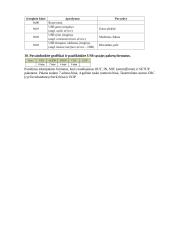 USB sąsajos tyriamasis darbas 6 puslapis