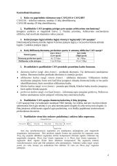 CAN sąsajos tyrimas 4 puslapis