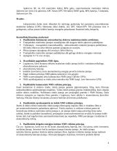 Nepertraukiamo maitinimo šaltinių tyrimas 4 puslapis