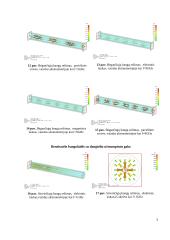 Bendraašių linijų tyriamasis darbas 3 puslapis