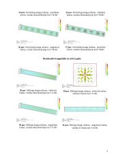 Bendraašių linijų tyriamasis darbas 5 puslapis