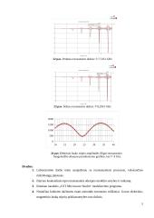 Rezonansinių procesų modeliavimas 5 puslapis