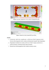 Bangolaidžio tyrimas paketu “CST Microwave Studio” 4 puslapis