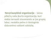 Nevyriausybinės plėtros organizacijos 2 puslapis