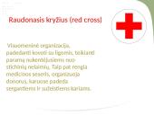 Nevyriausybinės plėtros organizacijos 7 puslapis