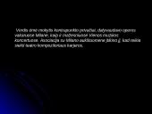 Džiuzepė Verdis ir operos 4 puslapis