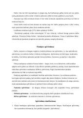 Ergonomika kompiuterių klasėje 6 puslapis
