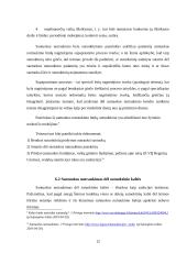 Santuokos nutraukimo būdai ir tvarka 12 puslapis