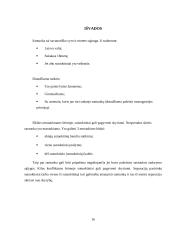 Santuokos nutraukimo būdai ir tvarka 16 puslapis