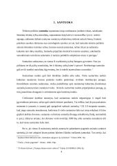 Santuokos nutraukimo būdai ir tvarka 4 puslapis