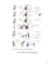 Lauko augalų apsauga 14 puslapis