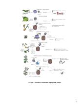 Lauko augalų apsauga 15 puslapis