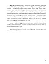 Lauko augalų apsauga 17 puslapis