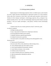 Lauko augalų apsauga 20 puslapis