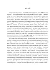 Kolektyvinė sutartis, jos rūšys 16 puslapis