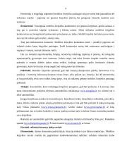 Verslo projektas "Mobili kirpykla" 4 puslapis