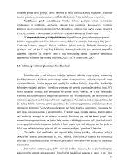 Komunikacija tarptautinėje organizacijoje 11 puslapis