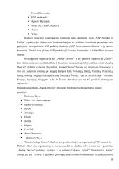 Komunikacija tarptautinėje organizacijoje 16 puslapis