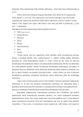 Komunikacija tarptautinėje organizacijoje 17 puslapis