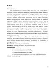 Komunikacija tarptautinėje organizacijoje 3 puslapis