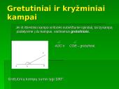 Gretutiniai ir kryžminiai kampai   7 puslapis