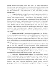 Internacionalizacijos procesas: AB „Rokiškio sūris“ 18 puslapis