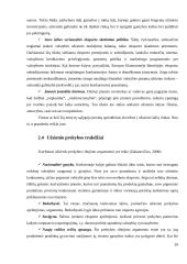 Internacionalizacijos procesas: AB „Rokiškio sūris“ 19 puslapis