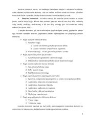 Internacionalizacijos procesas: AB „Rokiškio sūris“ 7 puslapis