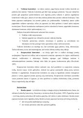 Internacionalizacijos procesas: AB „Rokiškio sūris“ 8 puslapis