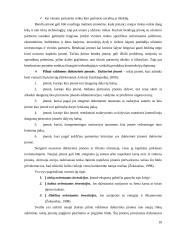 Internacionalizacijos procesas: AB „Rokiškio sūris“ 9 puslapis