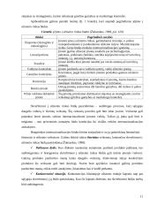 Internacionalizacijos procesas: AB „Rokiškio sūris“ 10 puslapis