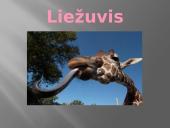 Liežuvis. Prisitatymas 2 puslapis