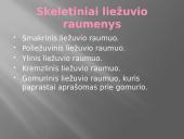 Liežuvis. Prisitatymas 12 puslapis