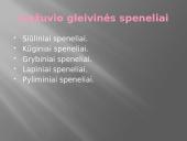 Liežuvis. Prisitatymas 14 puslapis