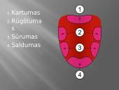 Liežuvis. Prisitatymas 18 puslapis