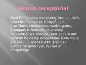 Liežuvis. Prisitatymas 19 puslapis