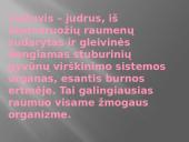 Liežuvis. Prisitatymas 3 puslapis