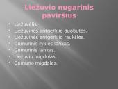 Liežuvis. Prisitatymas 4 puslapis