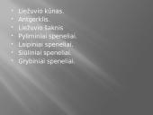 Liežuvis. Prisitatymas 6 puslapis