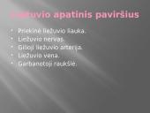 Liežuvis. Prisitatymas 8 puslapis